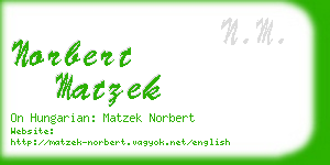 norbert matzek business card